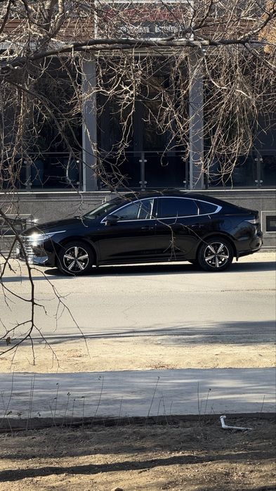 Byd chazor qora 2023 yil