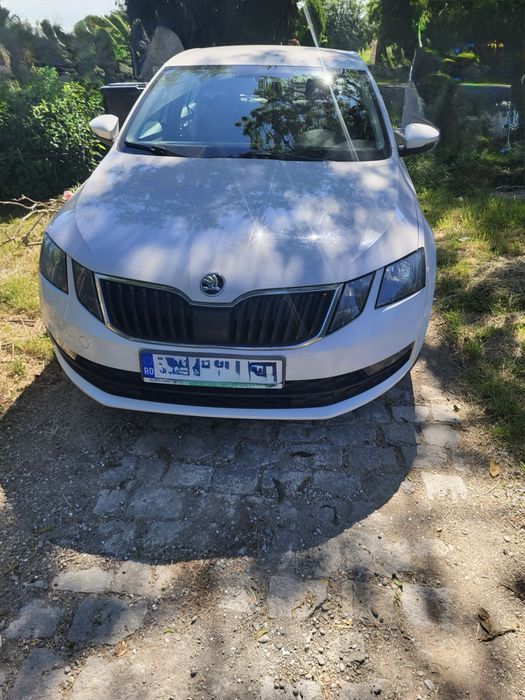 SKODA 100 2018 — imagine 4