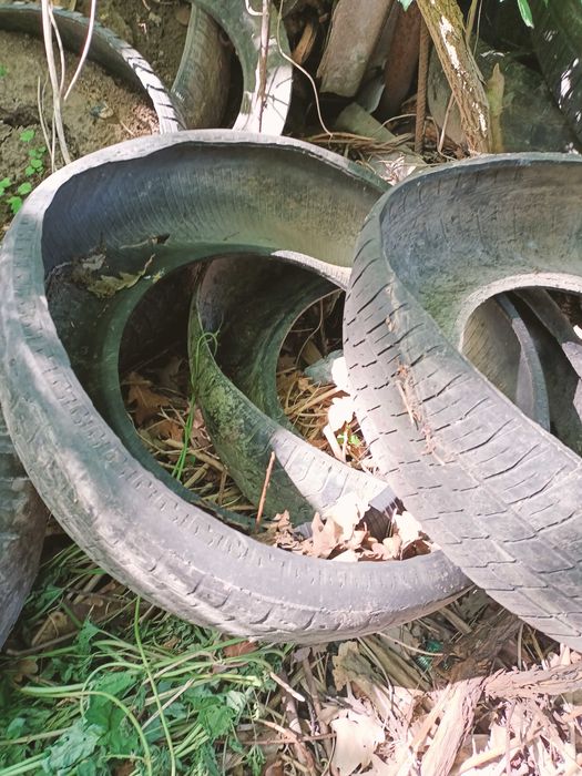 Отдам бесплатно шины