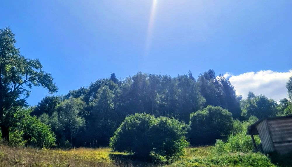 Продавам гора 9700 кв.м. в гр.Смолян,кв.Устово,над Комуна