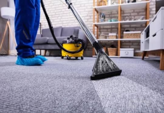 Gilam va koverolinlarni joyida ximchistka qilish | BioClean