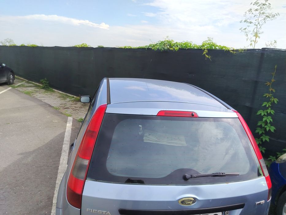 Vand Ford Fiesta 2004