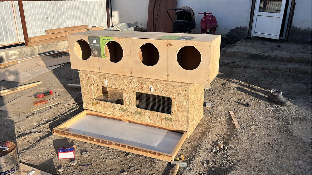 Брудер гниздо дамашный птица