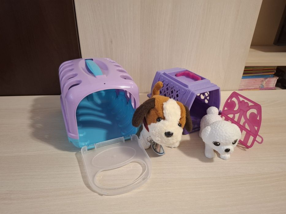 Pentru copii, transport 5 lei