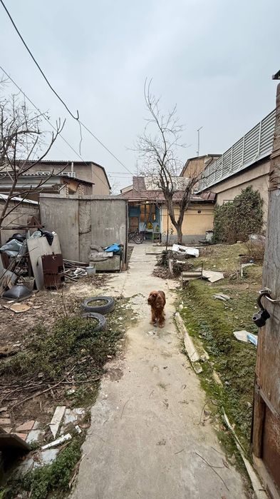 Продаётся 3 сот Якасарай