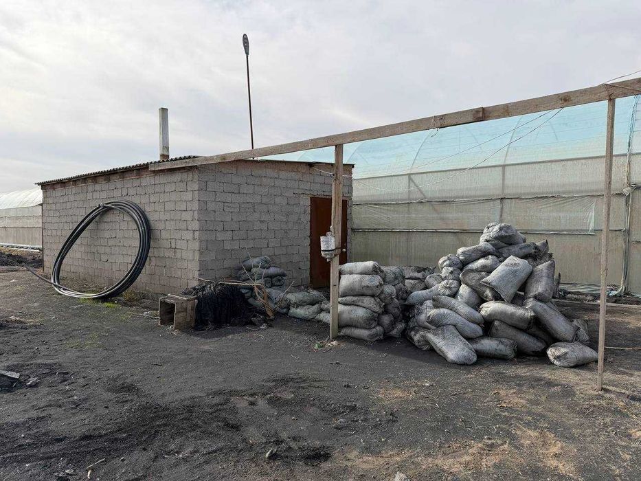 Parnik, teplisa, issiq’xona, Termiz Uchqizil