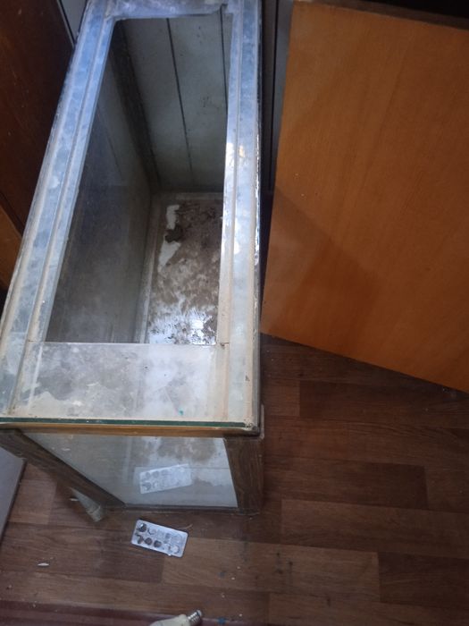 Аквариум комнатный