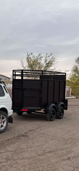 Каневоз сатлады заказга