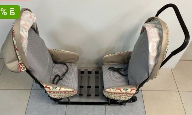 Егіздерге  арналған шана