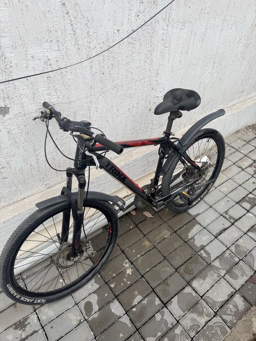 Велики пспортивные и обычные