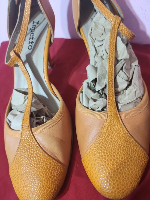 Pantofi repetto Paris