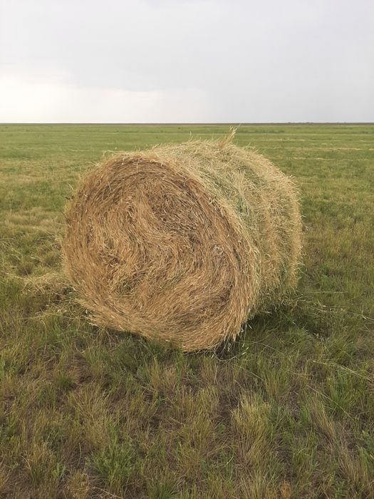 Сено рулонное, разнотравье