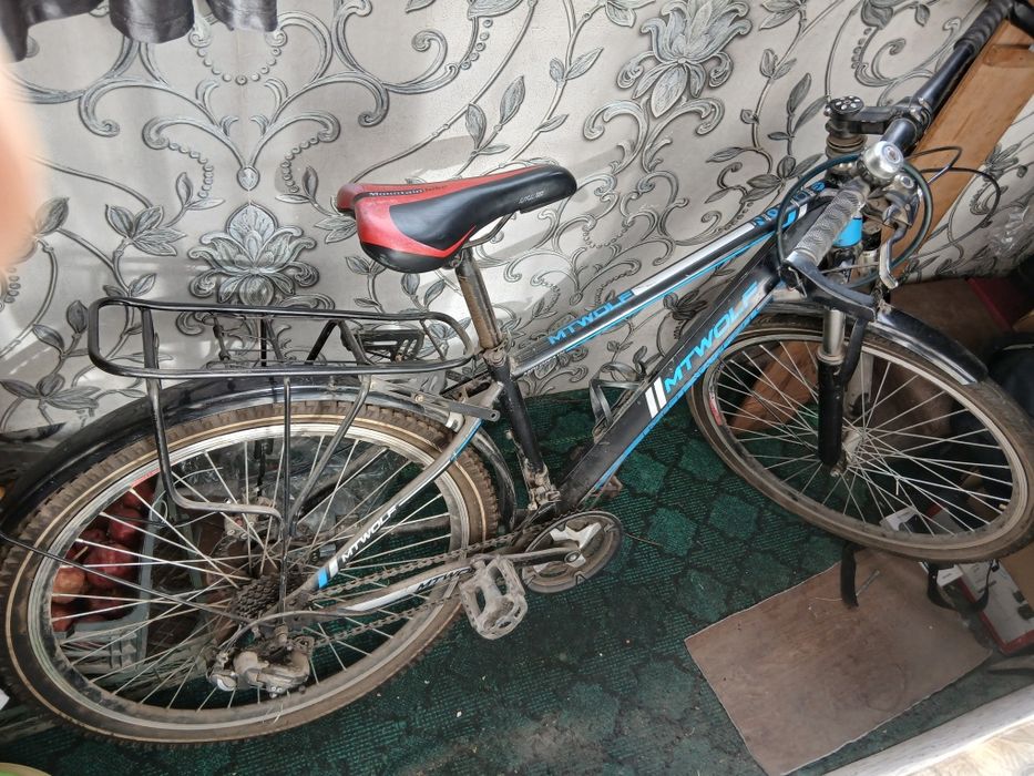 Vesoliped ozgina aybi bor