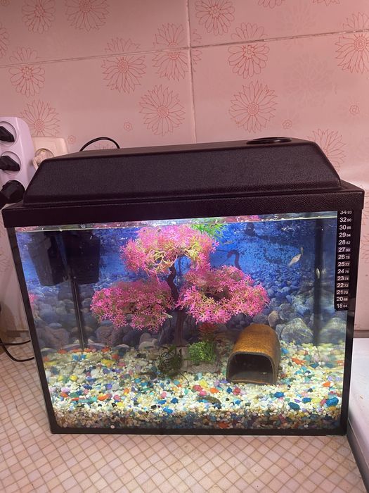 Аквариум  25 литров