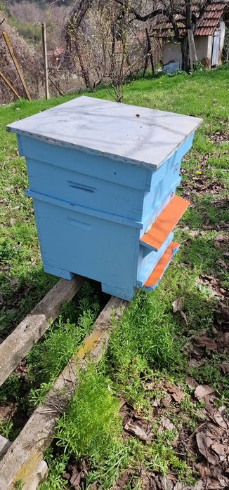 Пчелни кошери  10 р