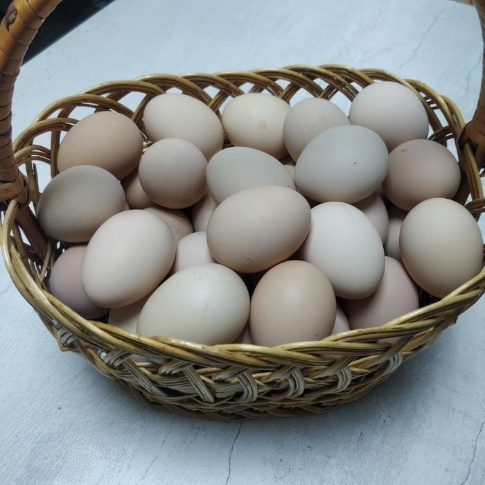 Яйца домашние куриные