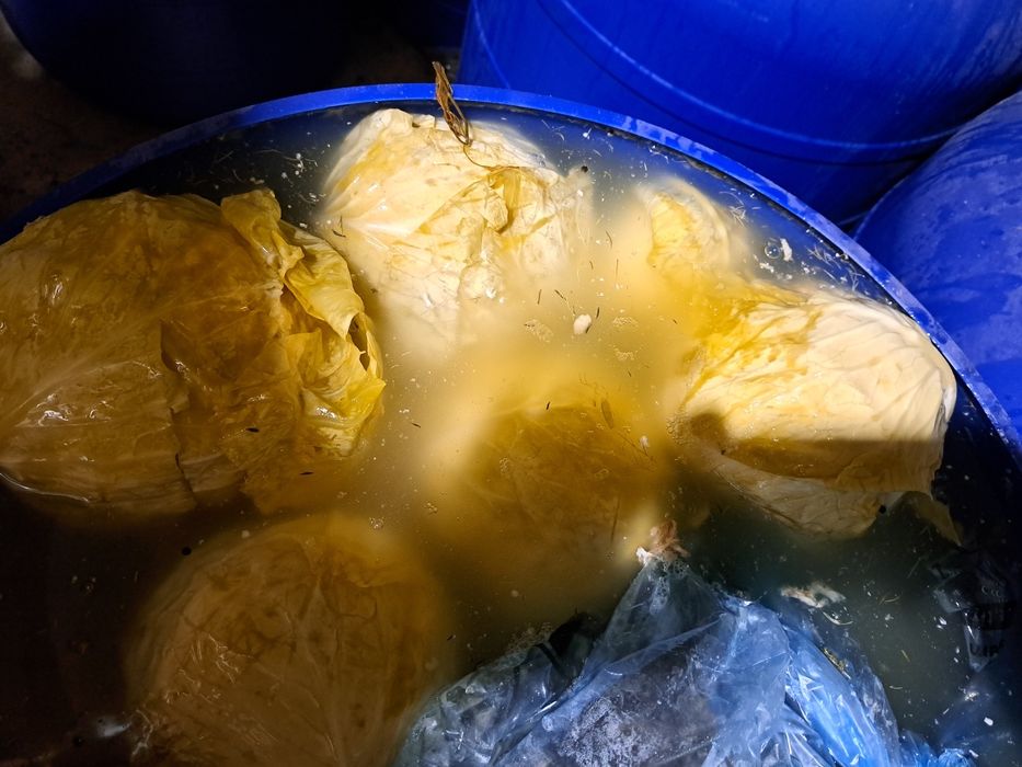 Varza murata de vânzare