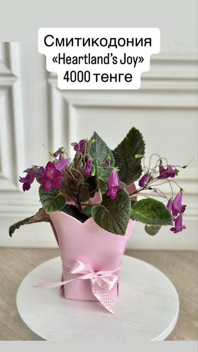 Цветы на 1 сентября