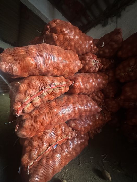 Продам картофель  “гала”