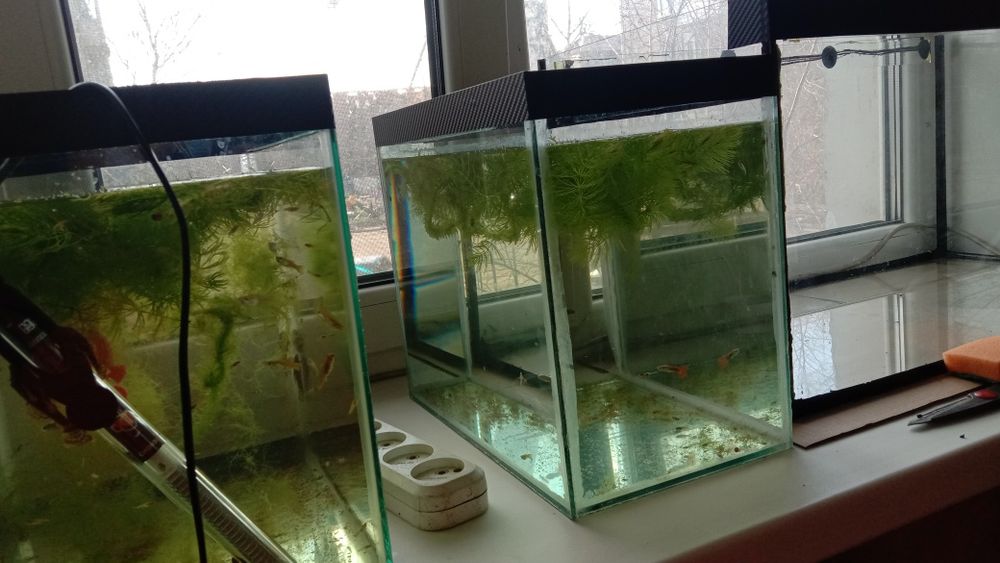 Продам аквариум разных размеров новые