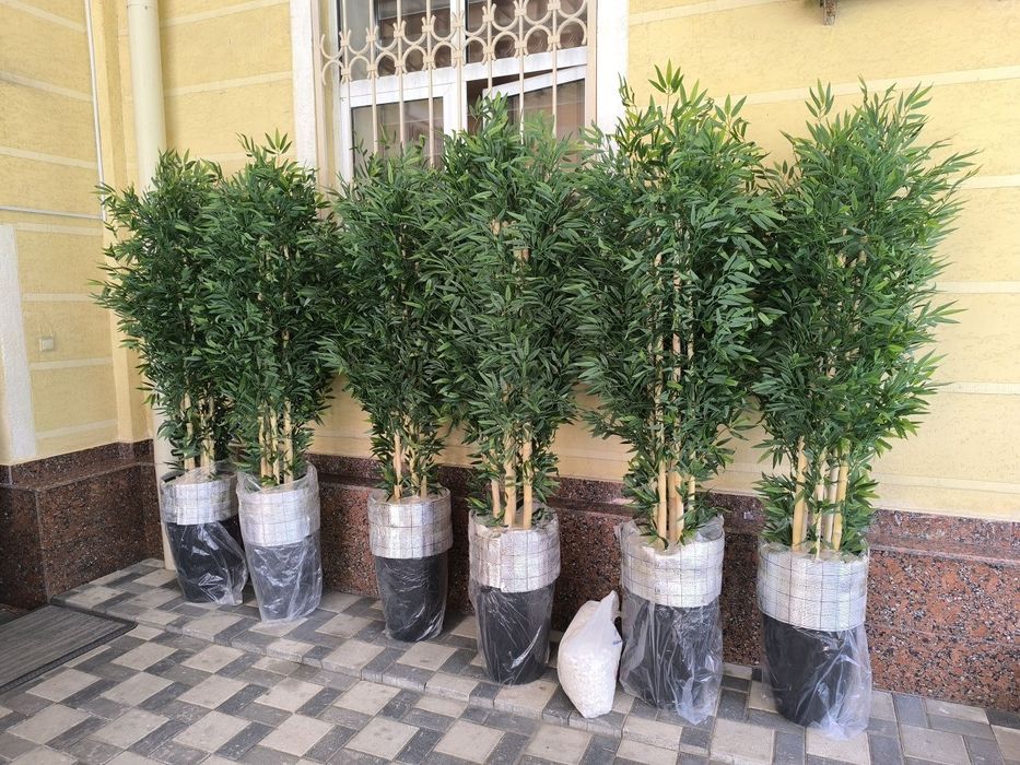 Искусственный бамбук суный гуллар