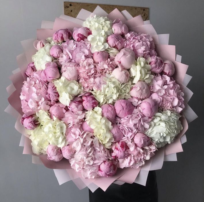 Гортензии. Пионы. Кустовые. Розы