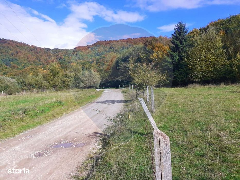 Teren extravilan Rasnov , Glajerie-Str Poiana velicanului, 1100mp