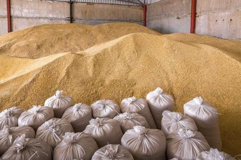 Depozit cereale vindem porumb vrac/sac amestec cereale
