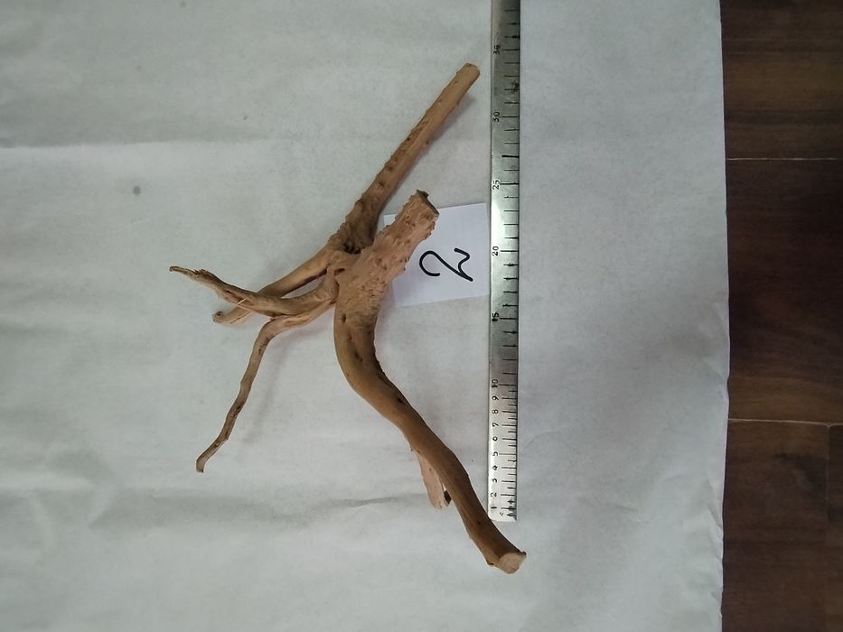 Корени за аквариум или терариум