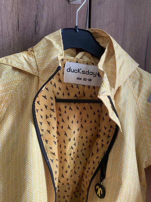 Гащеризон Ducksday