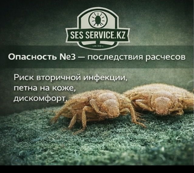 Уничтожим клопов и тараканов быстро и с гарантией