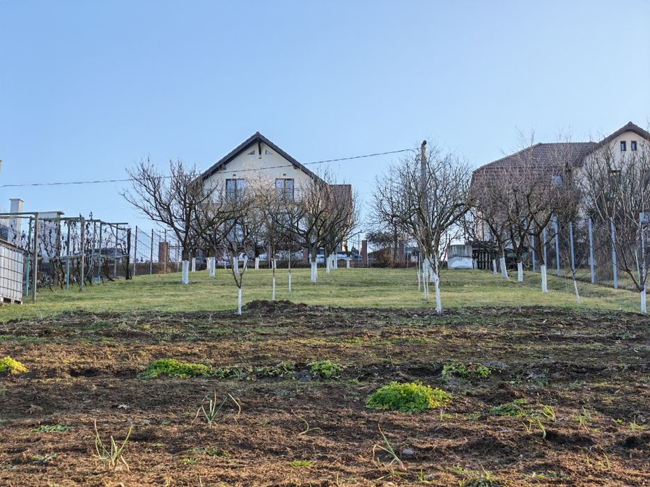 85.800 €, Teren în LIVEZENI, 780 MP, str Pădurii, 110  €/MP