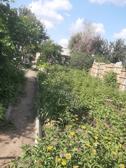 Срочно продам дачу