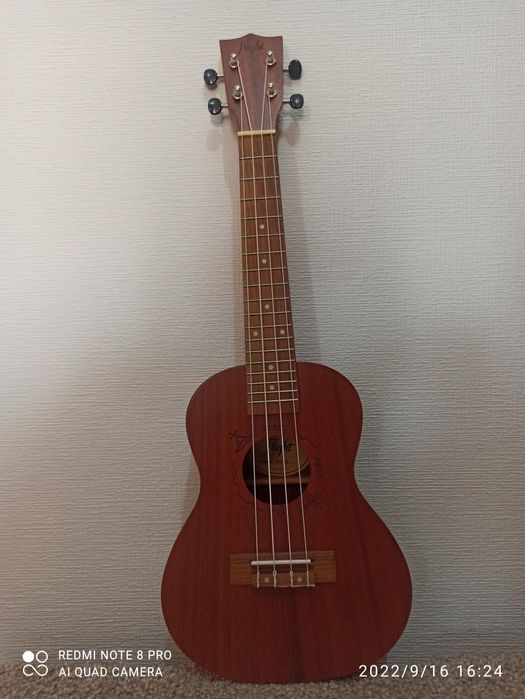 Укулеле  flight.