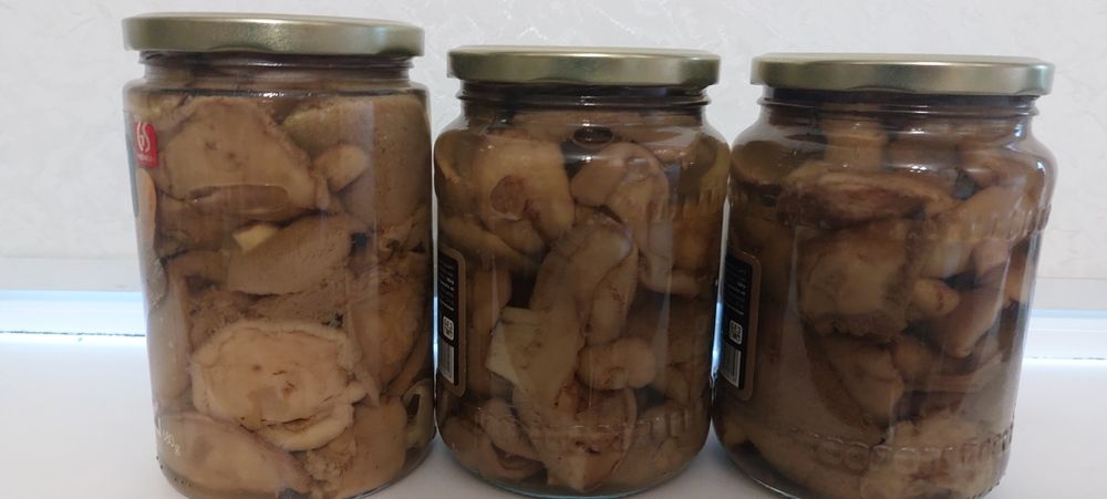 продам грибы  маслята