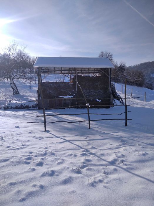 Otavă, lucernă, fân