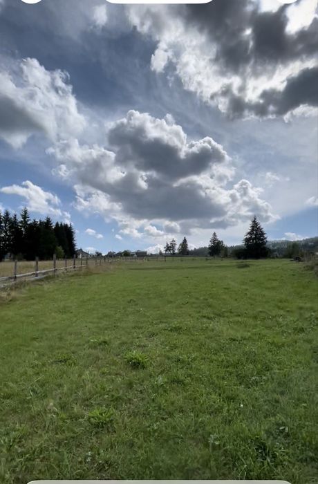 Teren in Vatra Dornei