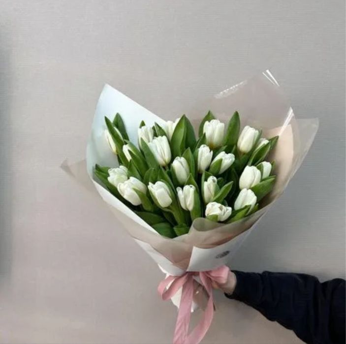 тюльпаны свежие красивые ГОЛЛАНДСКИЕ