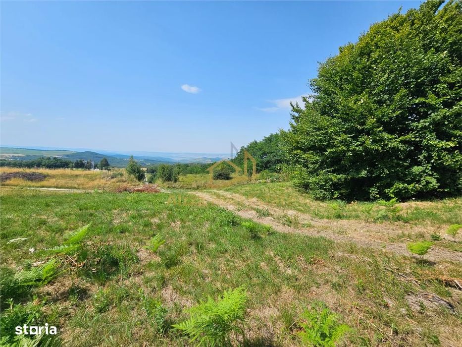 Alzza Real Estate – Teren intravilan de vanzare in Salicea, Cluj – 117