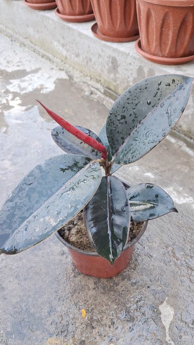 Разное продается Мырзакент