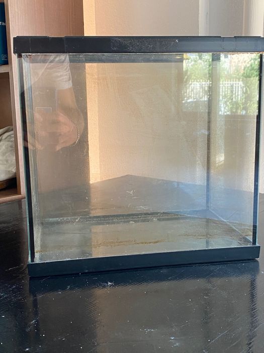 Acvariu cub de masă.