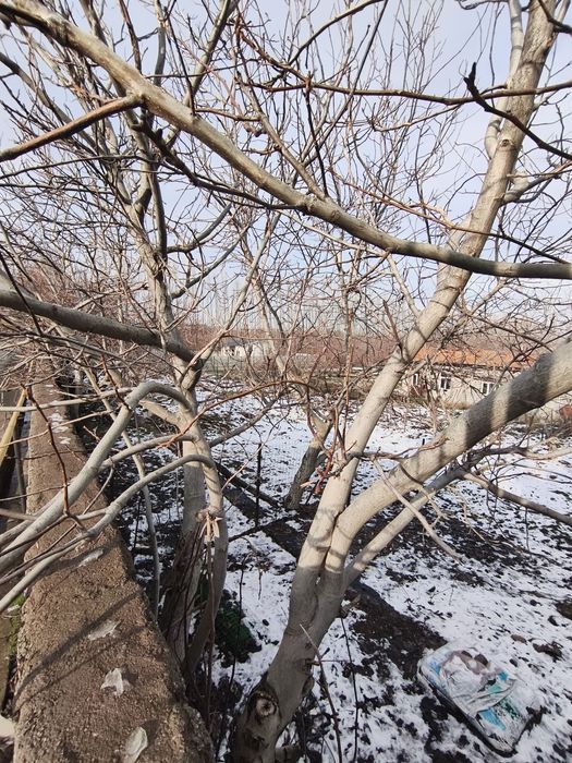 Ttz metro yonida yer sotiladi 5 so'tix