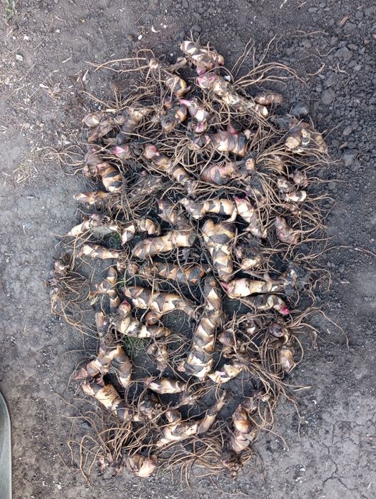 Продам ванну красную