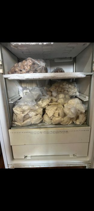 Тоңазытқыш моразильник