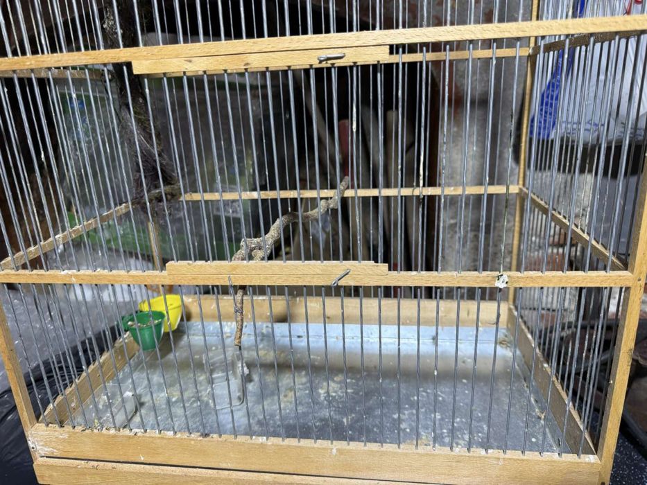 Кафез за птици канарчета