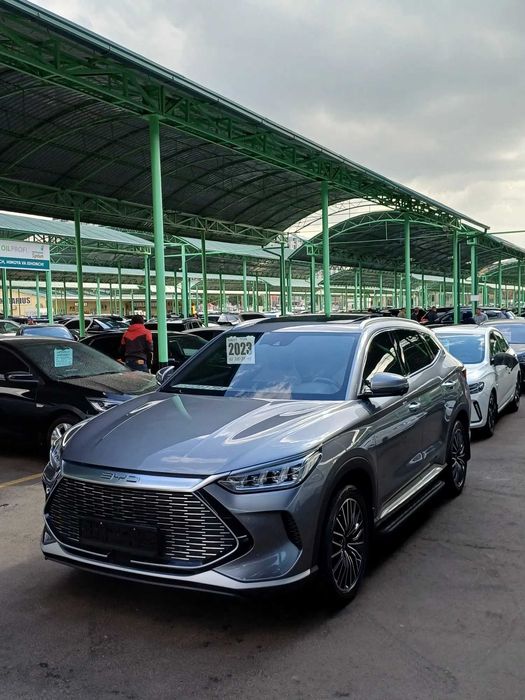 BYD Song Plus Champion hybrid 150 km pod zakaz