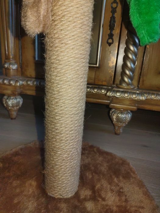 Когтеточка новая