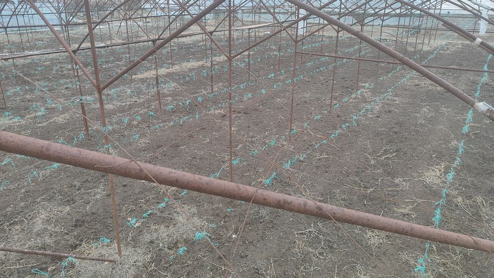 Теплица Жылыжай сатылады