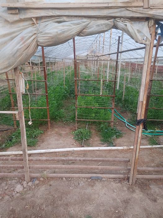 Участка сотилади 8 сотых