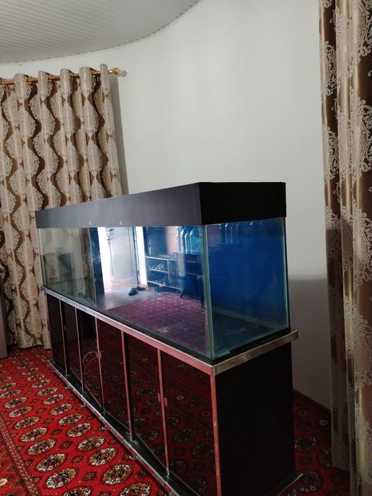 Akvarium baliq uchun